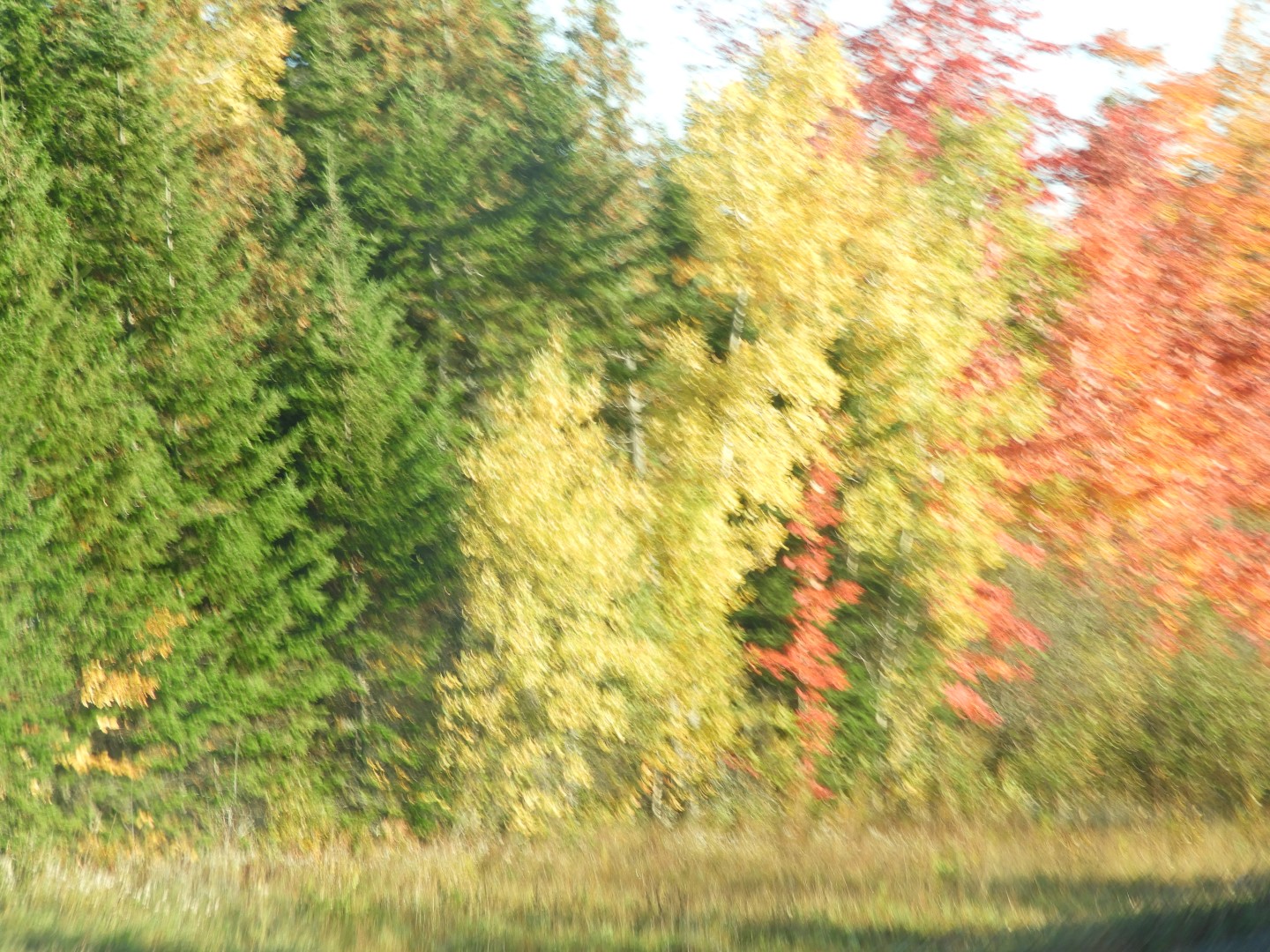 Scenery in northern New Brunswick CN 10 of 17 (#0776)