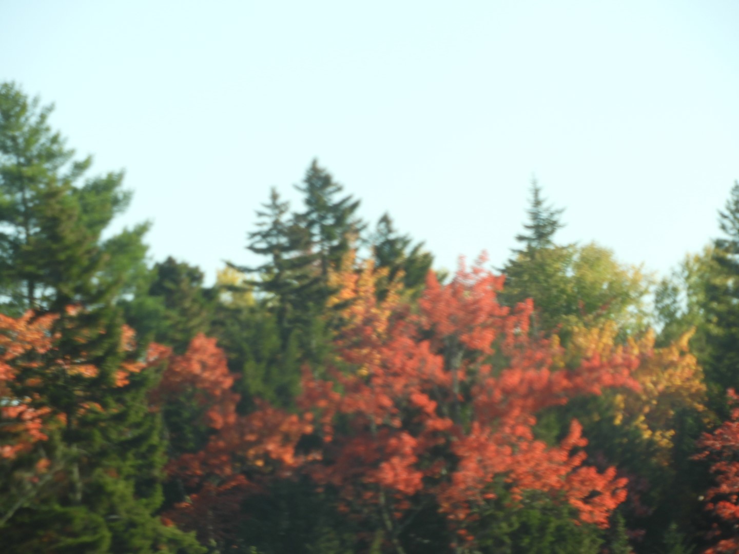 Scenery in northern New Brunswick CN 11 of 17 (#0780)