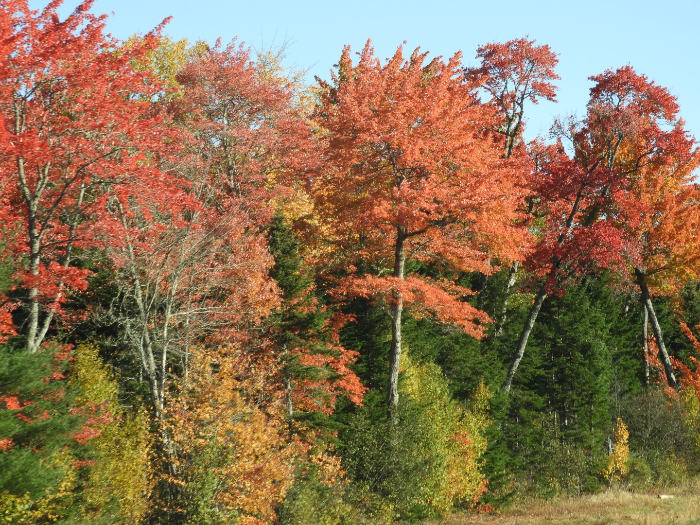Scenery in northern New Brunswick CN 14 of 17 (#0785)
