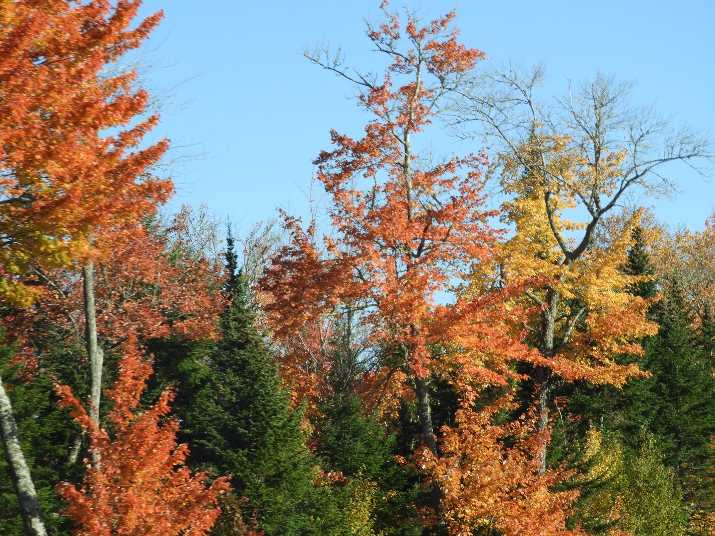 Scenery in northern New Brunswick CN 15 of 17 (#0786)