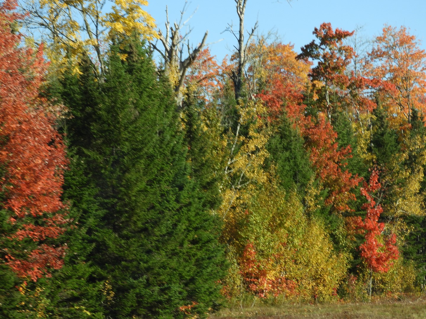 Scenery in northern New Brunswick CN 16 of 17 (#0787)