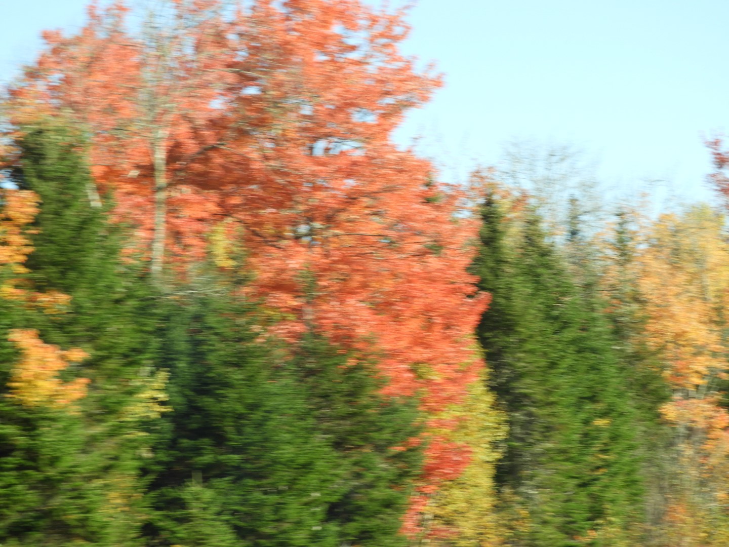 Scenery in northern New Brunswick CN 17 of 17 (#0788)