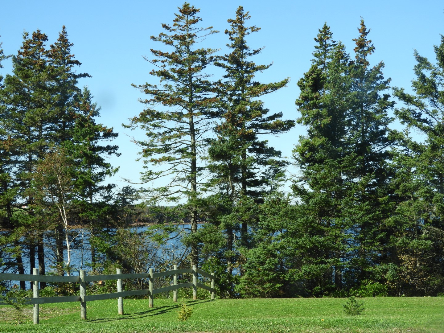 Scenery on Prince Edward Island CN 5 of  5 (#0808)