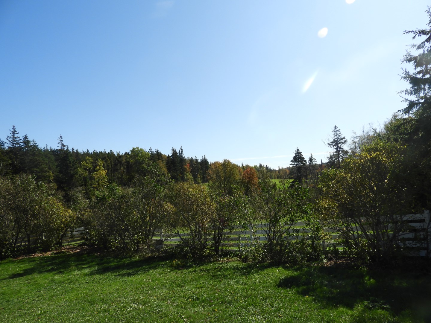 House of Green Gables on Prince Edward Island CN 7 of 46 (#0814)