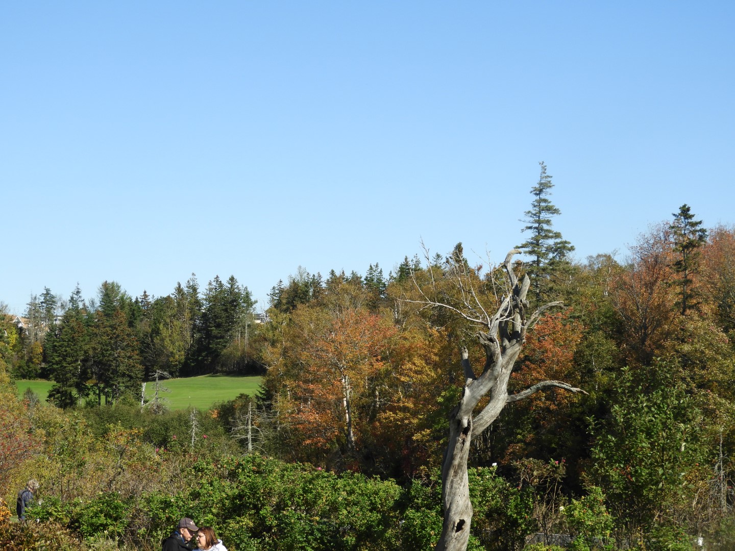 House of Green Gables on Prince Edward Island CN 12 of 46 (#0819)