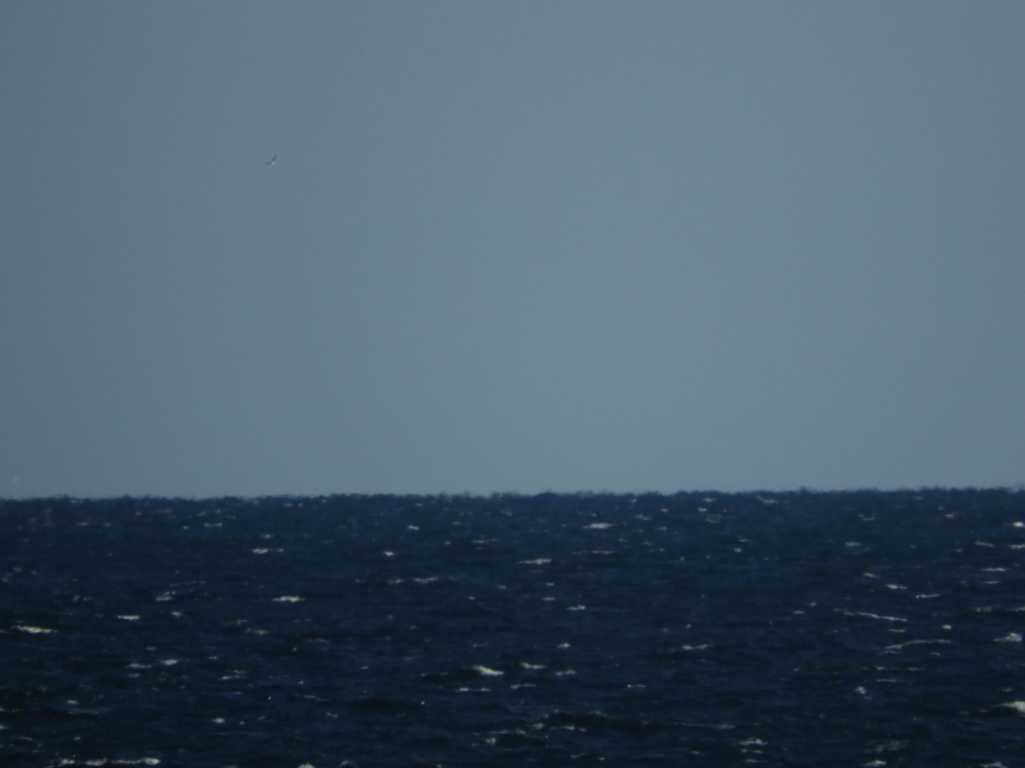 Along the northern coast of Prince Edward Island CN 2 of  8 (#0864)