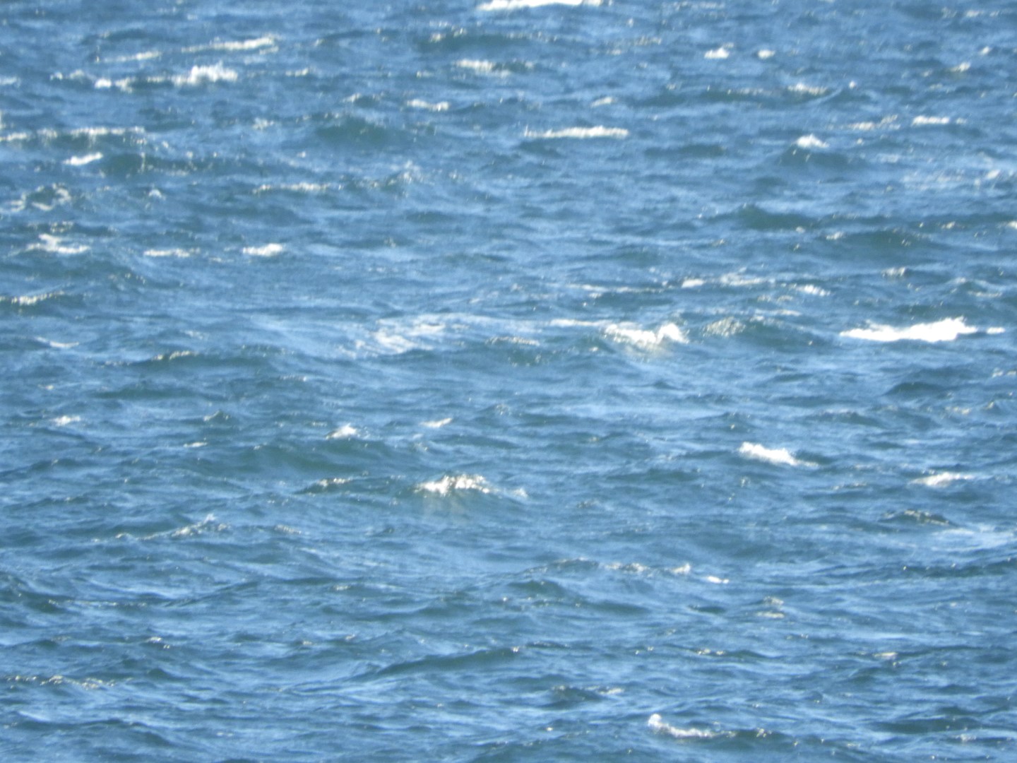 Along the northern coast of Prince Edward Island CN 3 of  8 (#0865)