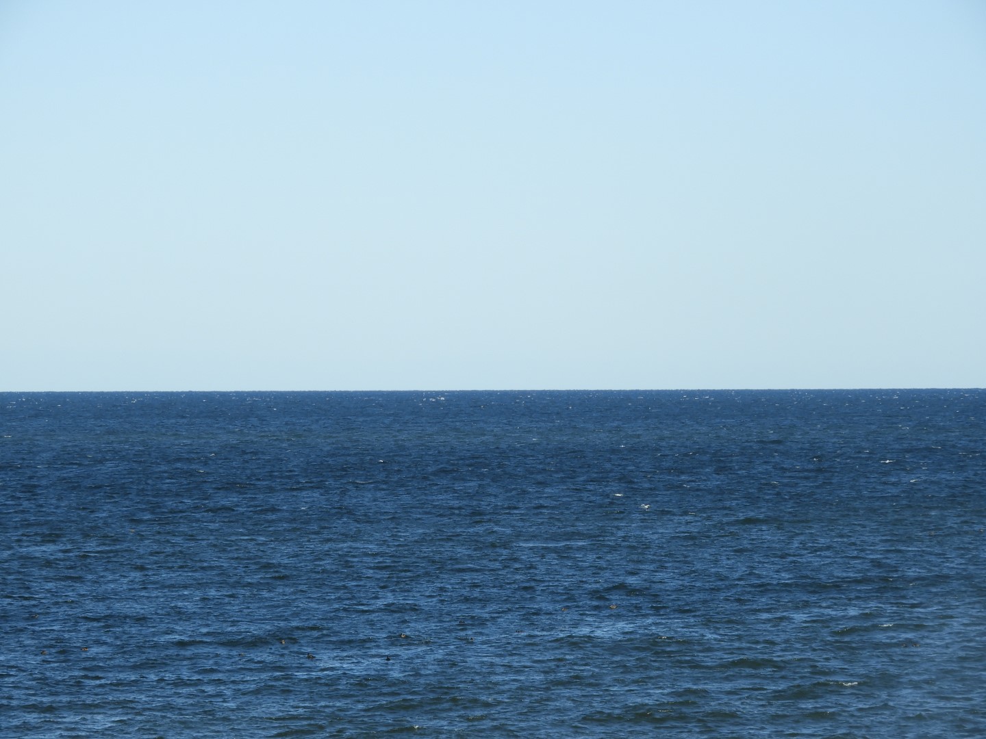 Along the northern coast of Prince Edward Island CN 6 of  8 (#0868)