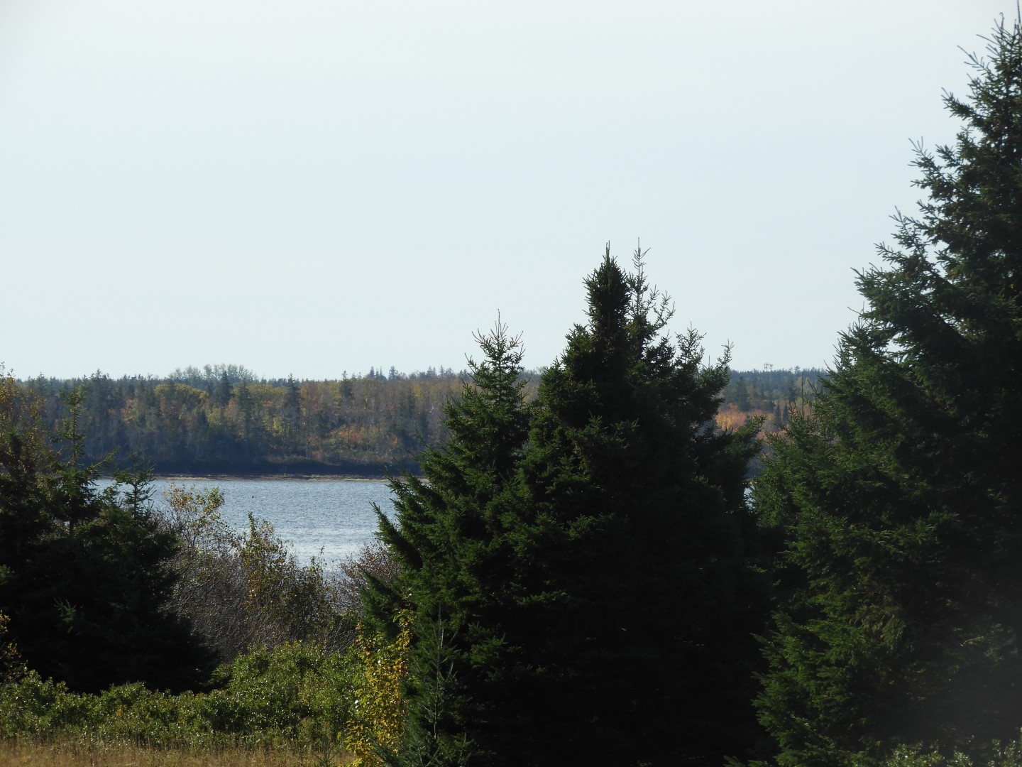 Greenwich National Park on Prince Edward Island CN 3 of  9 (#0872)