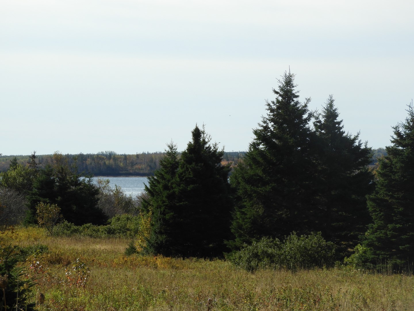 Greenwich National Park on Prince Edward Island CN 4 of  9 (#0873)