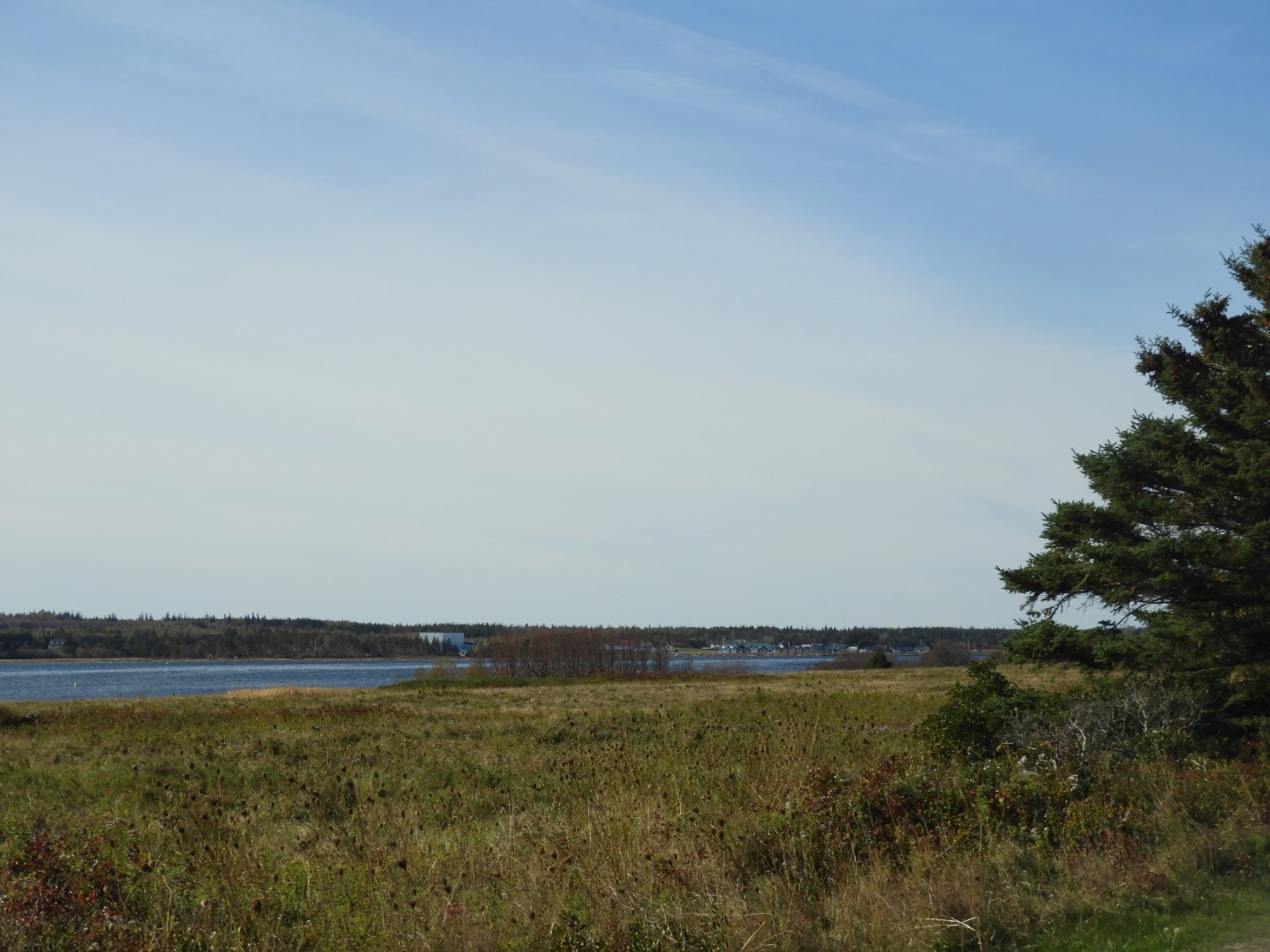 Greenwich National Park on Prince Edward Island CN 6 of  9 (#0875)