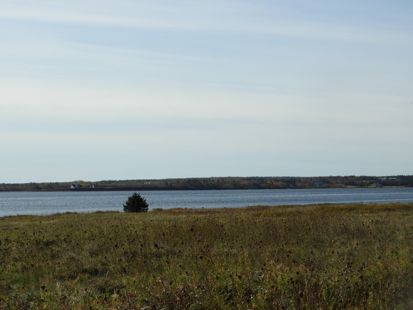 Greenwich National Park on Prince Edward Island CN 7 of  9 (#0876)