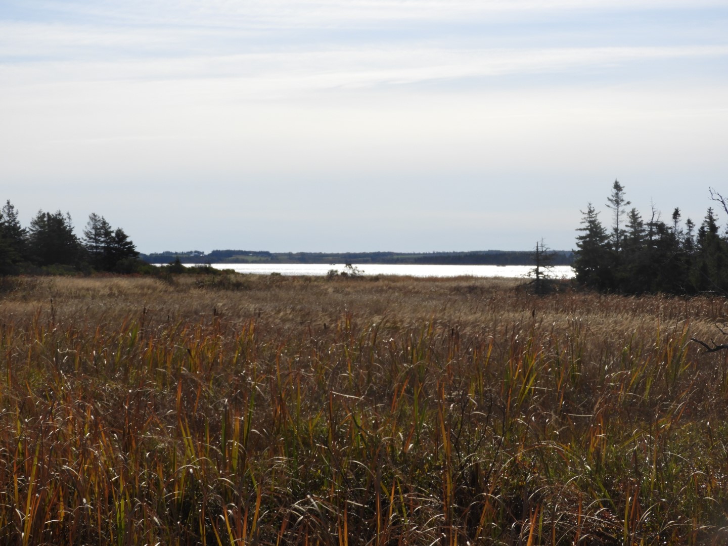 Along the northern coast of Prince Edward Island CN 7 of  8 (#0879)