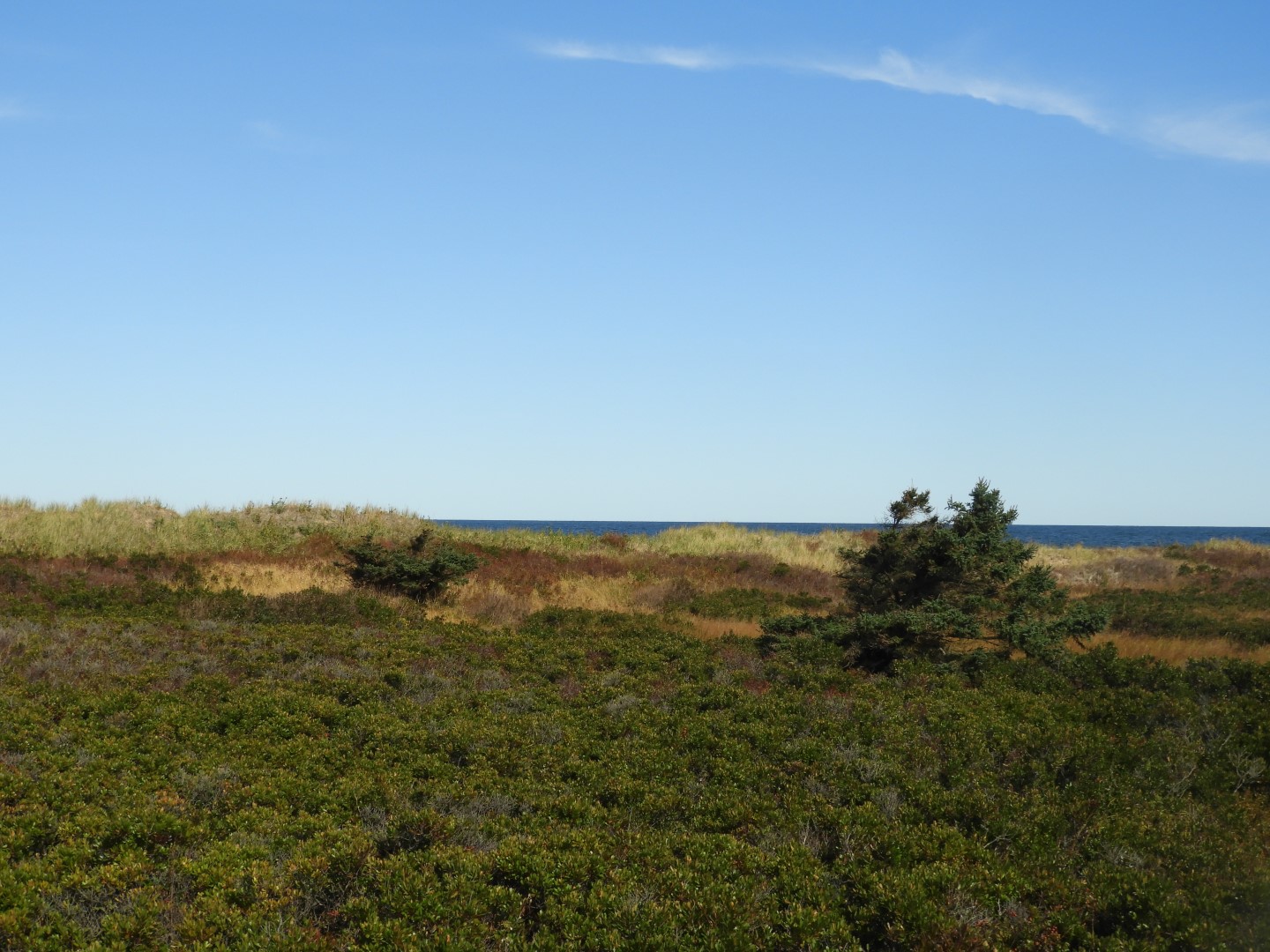Prince Edward Island National Park 7 of  8 (#0899)