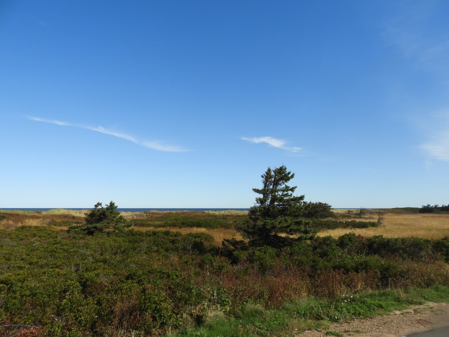 Prince Edward Island National Park 8 of  8 (#0900)