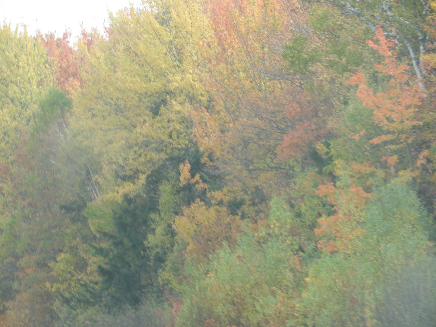 Along the route to Halifax CN 2 of  3 (#0910)