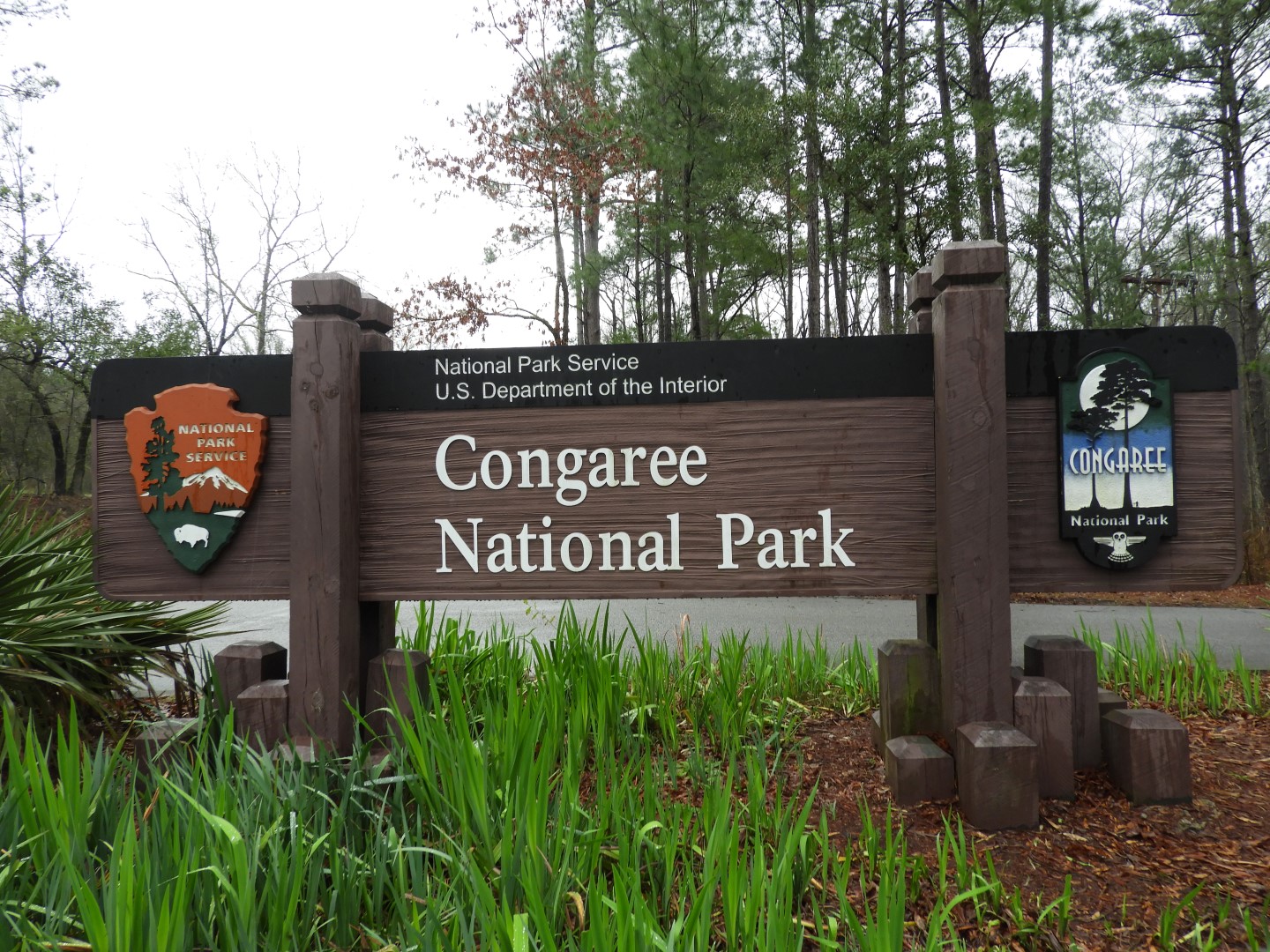 Congaree National Park near Hopkins SC  1 of 24 (#6532)