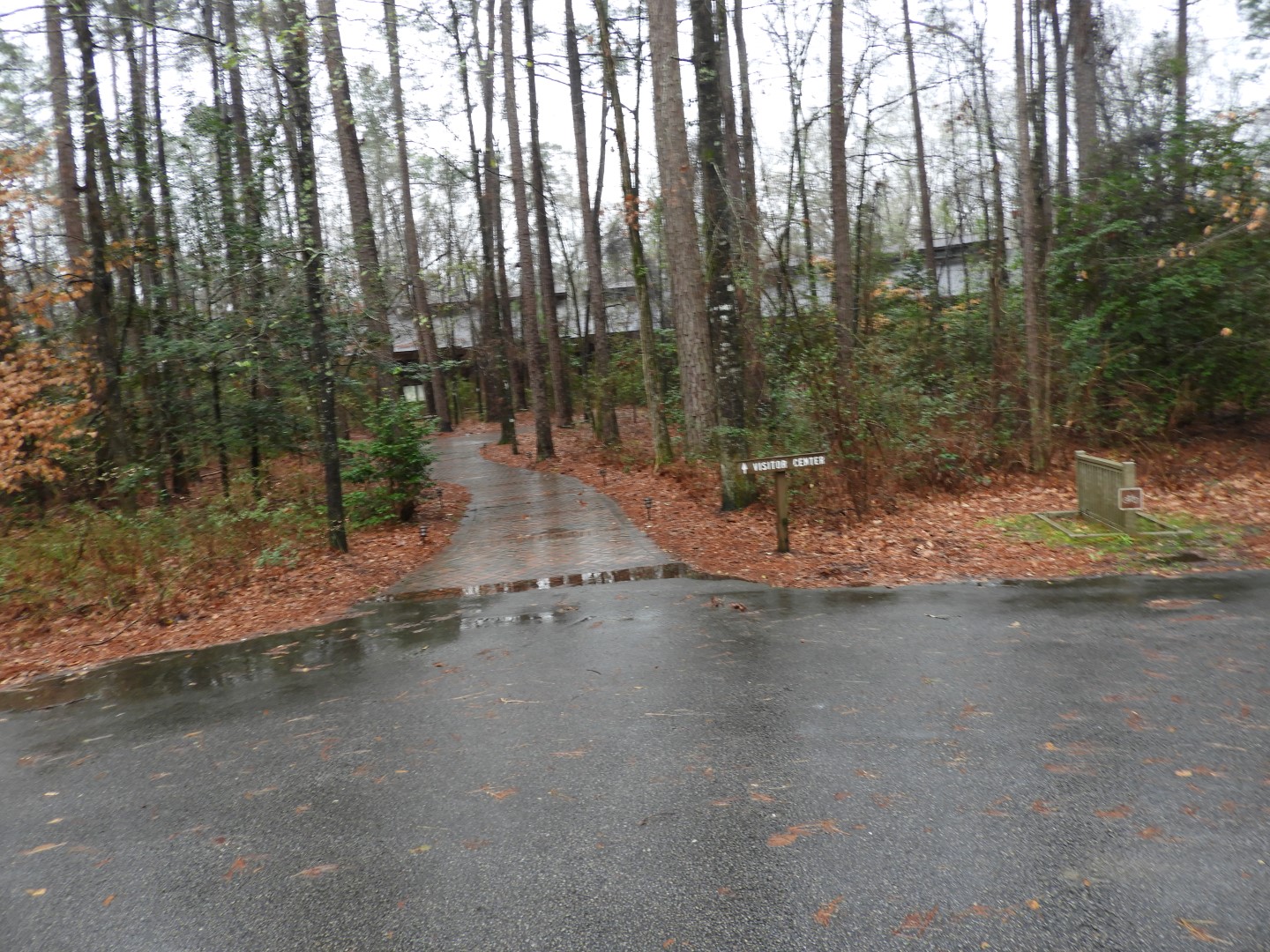 Congaree National Park near Hopkins SC  2 of 24 (#6533)