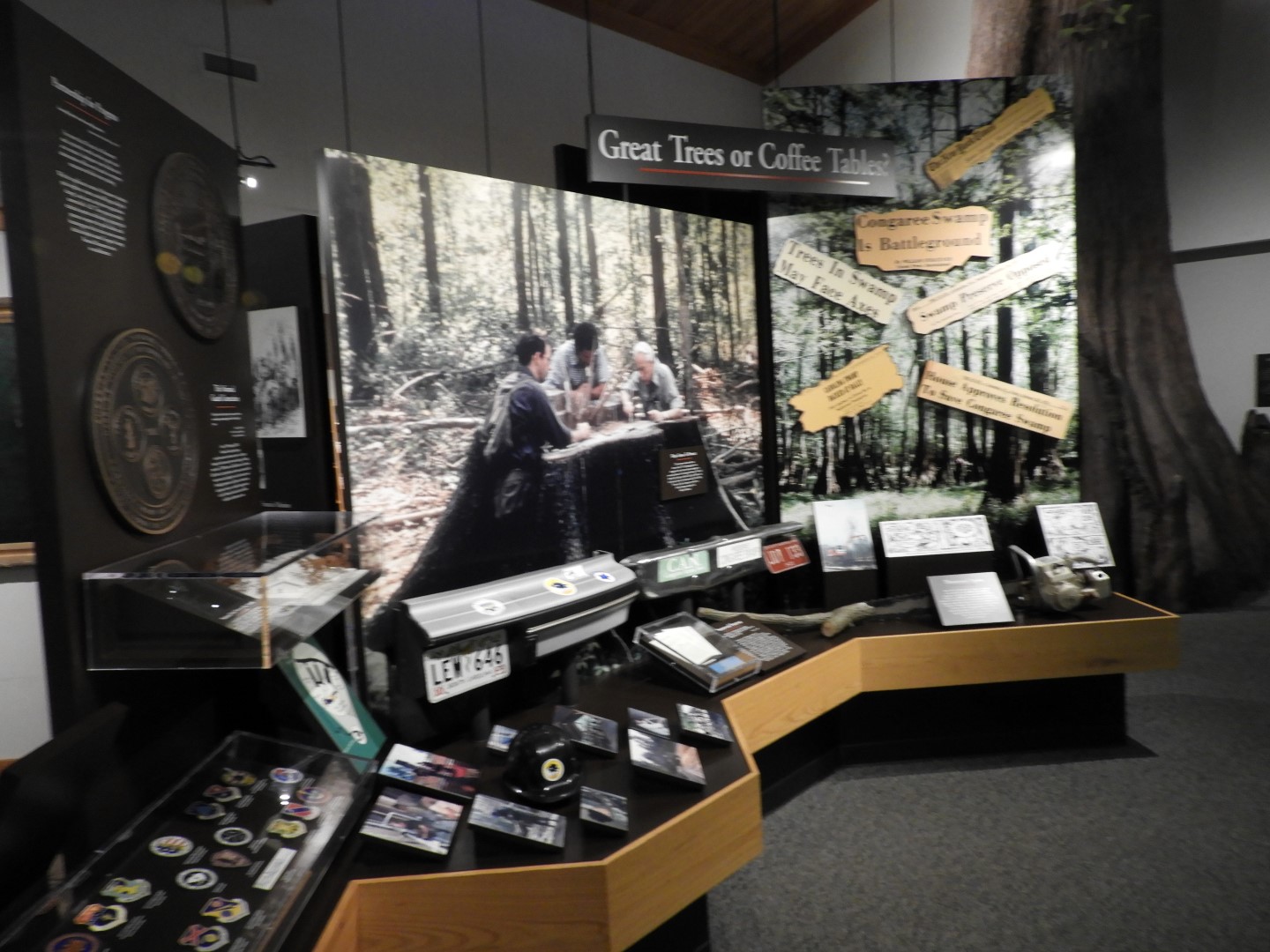 Congaree National Park near Hopkins SC  3 of 24 (#6534)