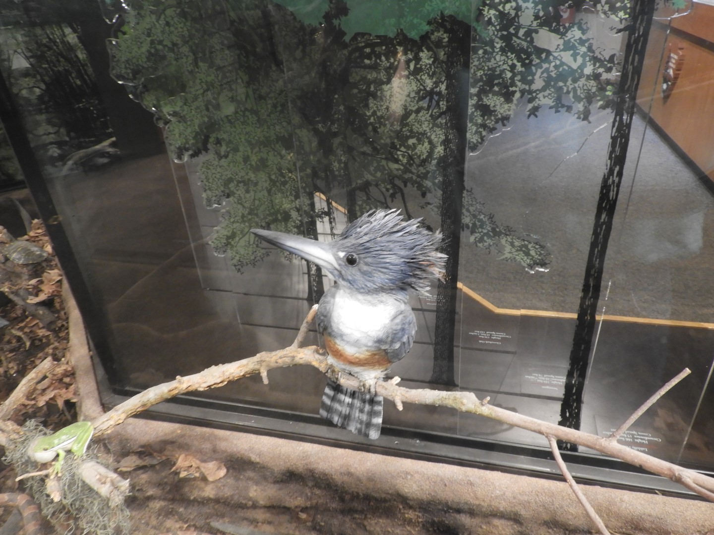 Congaree National Park near Hopkins SC  4 of 24 (#6535)