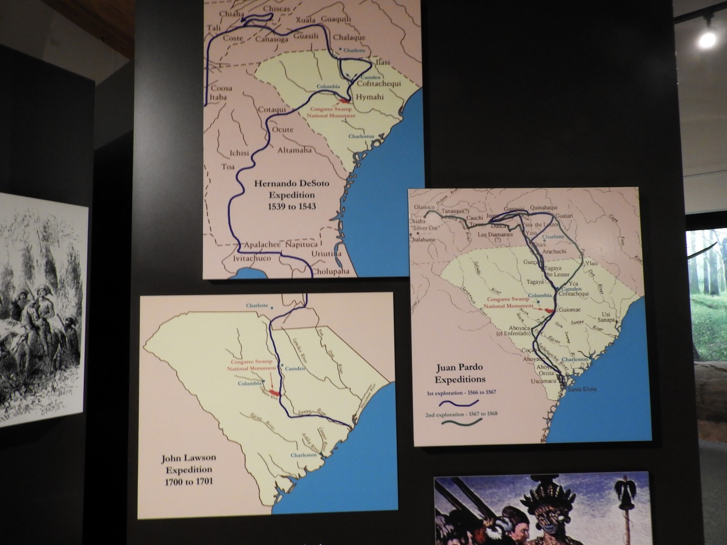 Congaree National Park near Hopkins SC  6 of 24 (#6537)