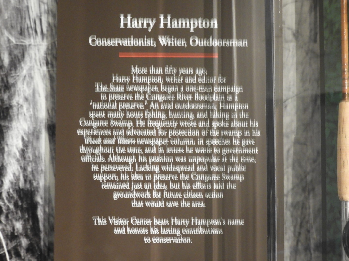 Congaree National Park near Hopkins SC  8 of 24 (#6540)