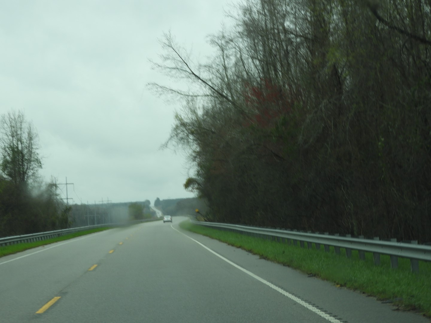 Congaree National Park near Hopkins SC 24 of 24 (#6558)
