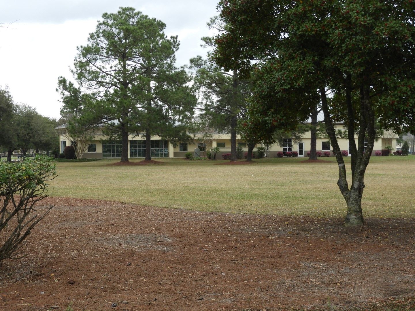 Charleston Southern University in Charleston SC  5 of  5 (#6568)