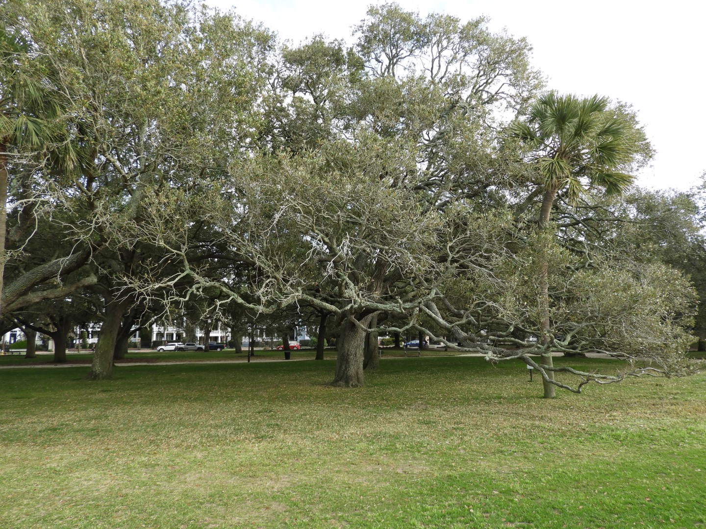 White Point Garden Park in Charleston SC 15 of 21 (#6592)