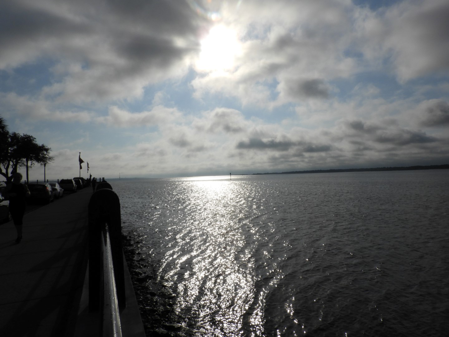 White Point Garden Park in Charleston SC 16 of 21 (#6593)