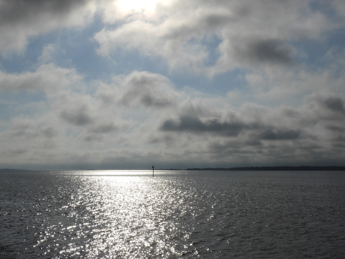 White Point Garden Park in Charleston SC 17 of 21 (#6594)