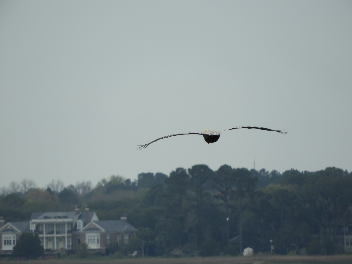 Ferry ride to Fort Sumter National Historic Site SC 17 of 34 (#6624)
