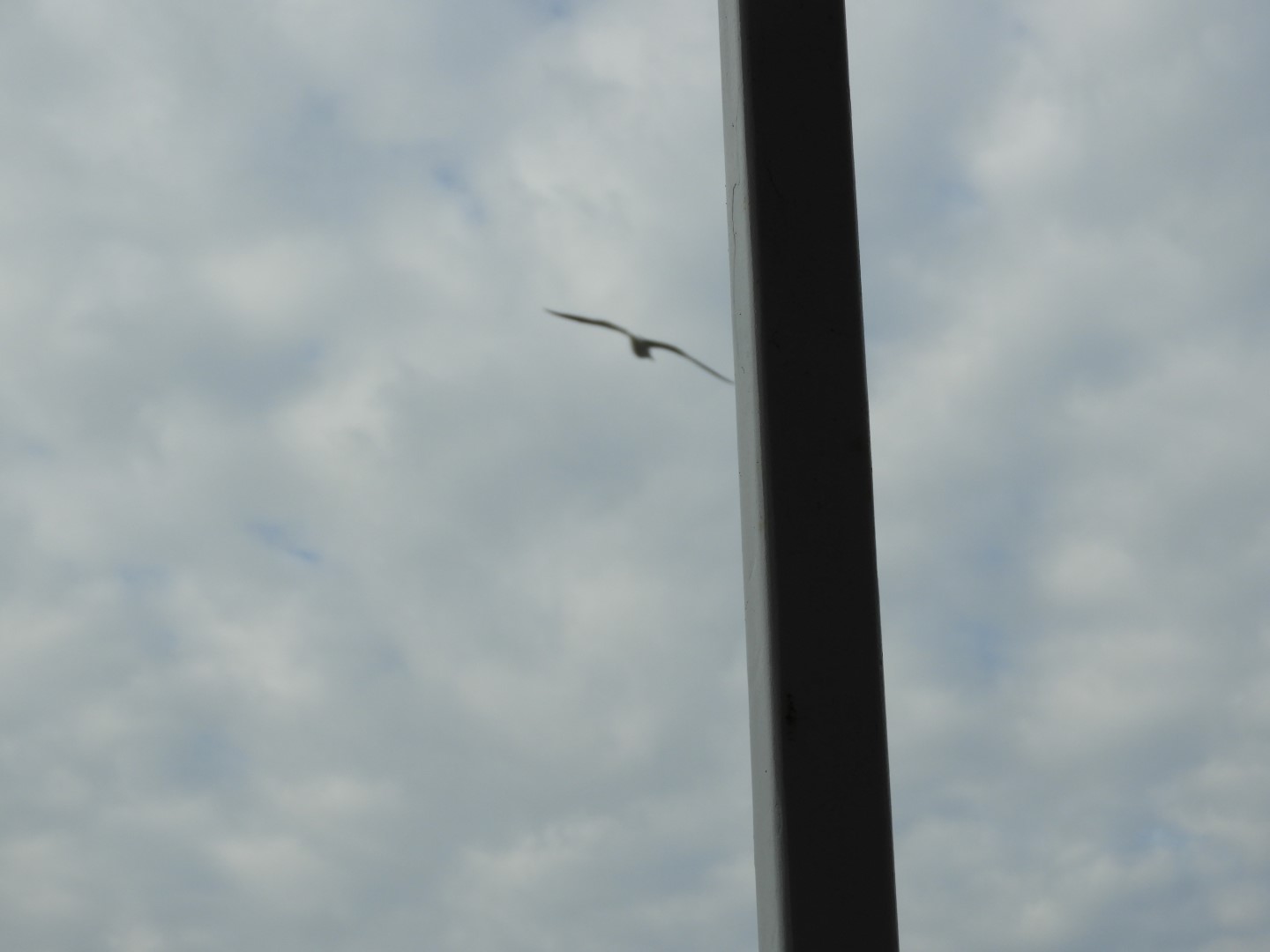 Ferry ride to Fort Sumter National Historic Site SC 19 of 34 (#6626)