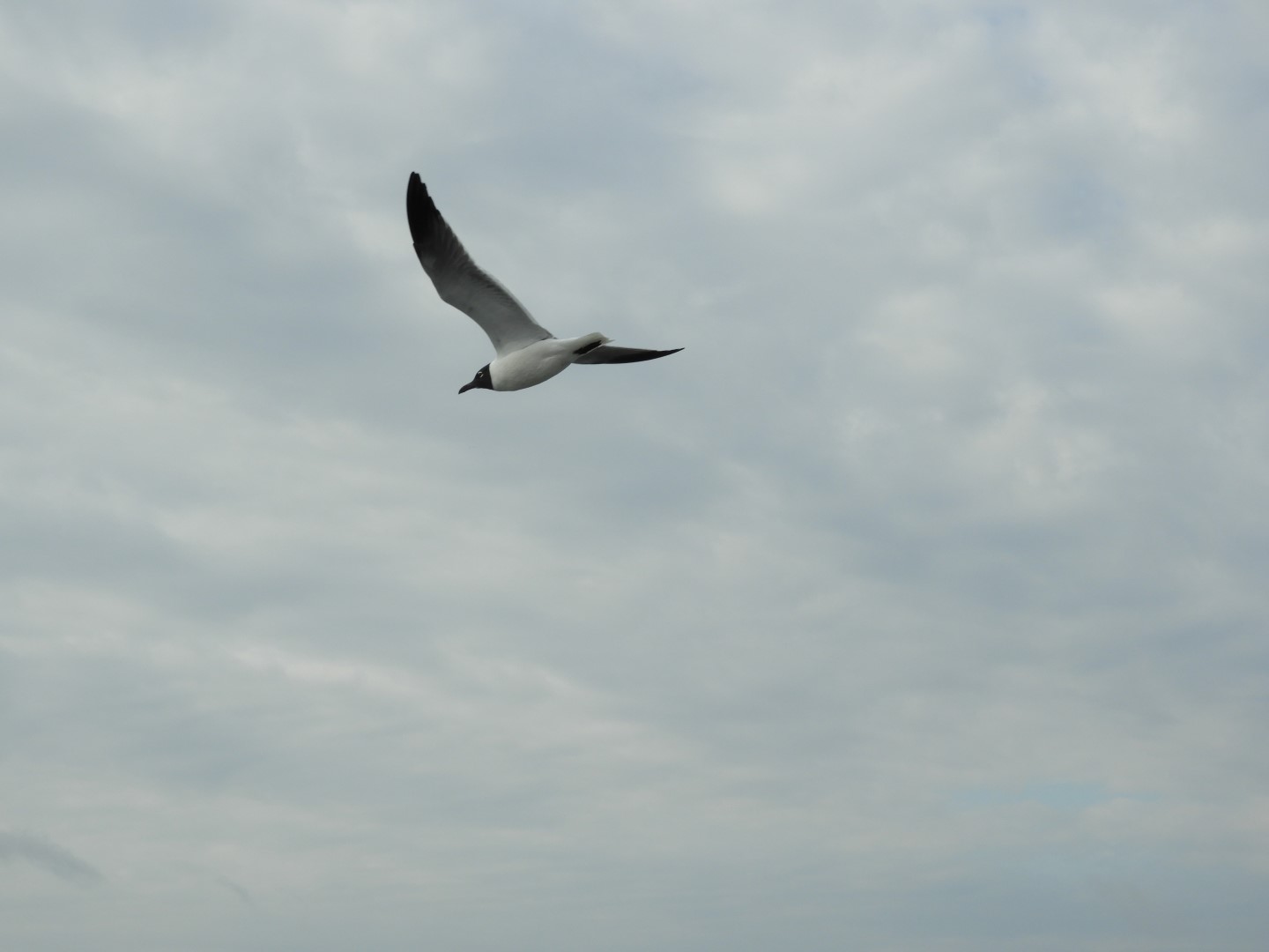 Ferry ride to Fort Sumter National Historic Site SC 20 of 34 (#6627)