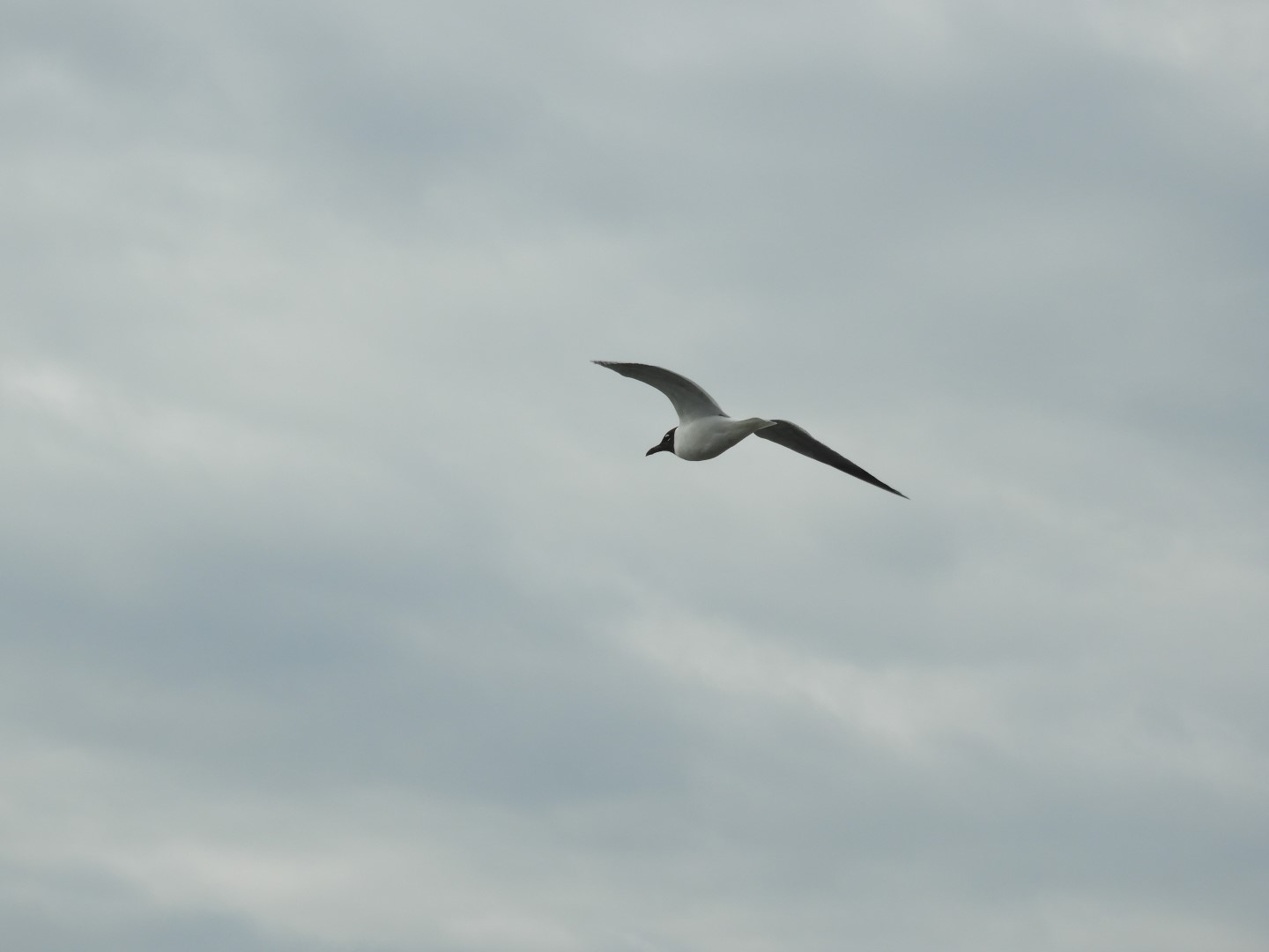 Ferry ride to Fort Sumter National Historic Site SC 21 of 34 (#6628)
