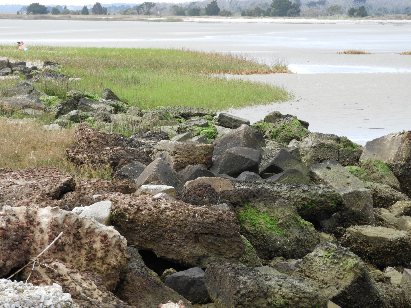 Low-tide sand bars area at Fort Sumter National Historic Site SC 10 of 37 (#6707)
