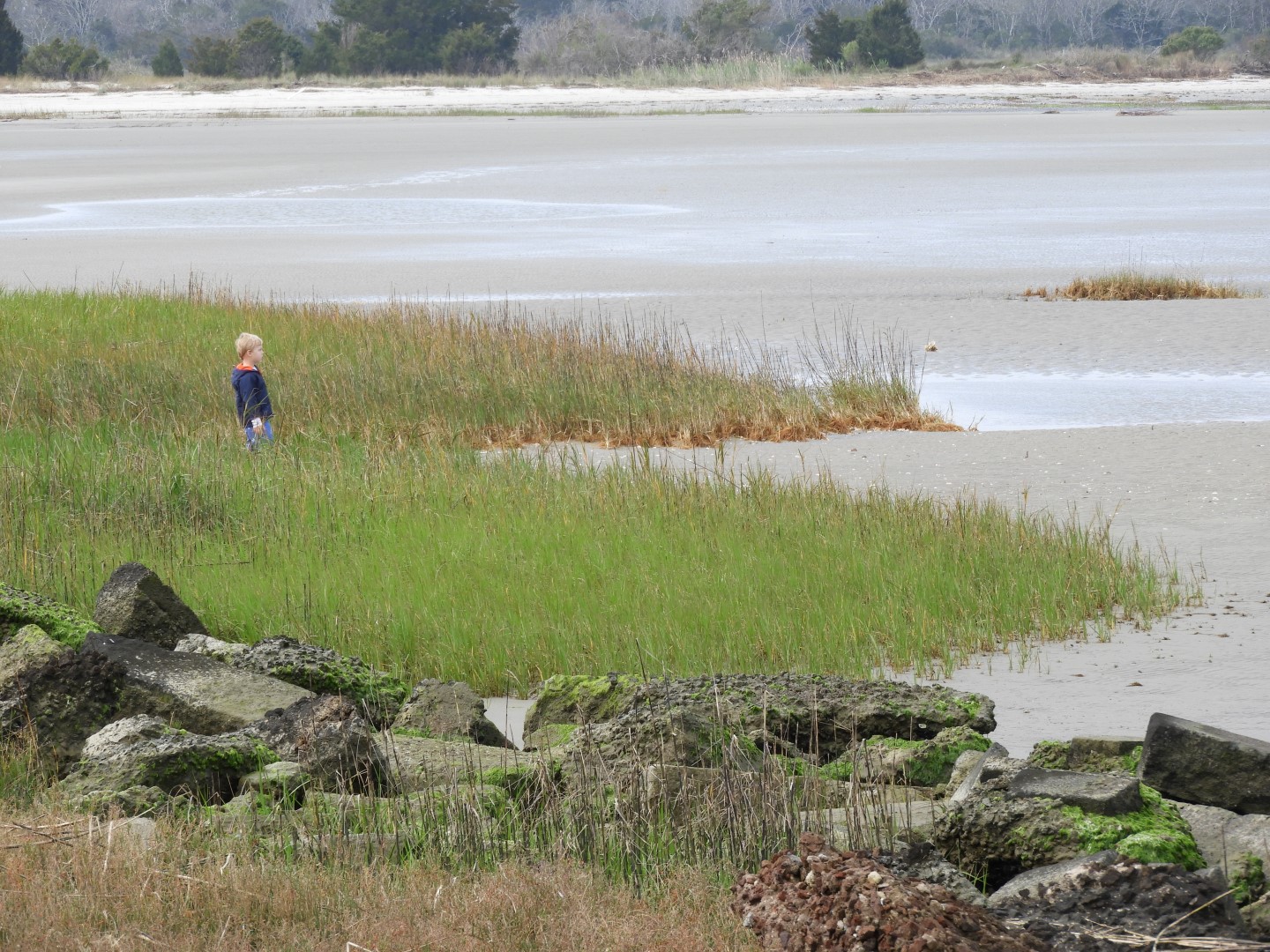 Low-tide sand bars area at Fort Sumter National Historic Site SC 12 of 37 (#6709)