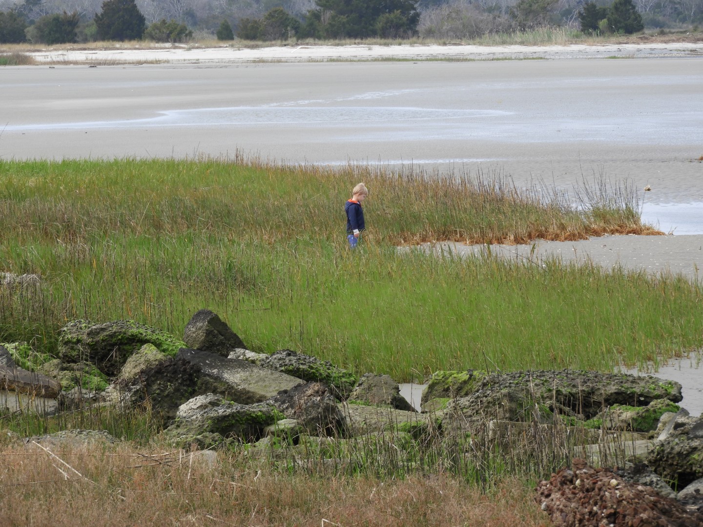 Low-tide sand bars area at Fort Sumter National Historic Site SC 13 of 37 (#6710)