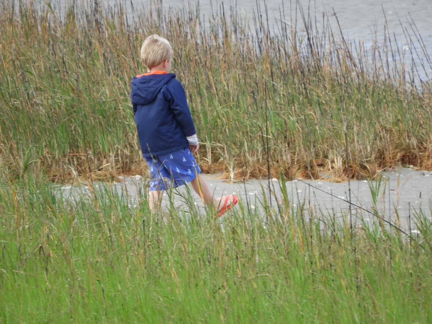 Low-tide sand bars area at Fort Sumter National Historic Site SC 15 of 37 (#6712)