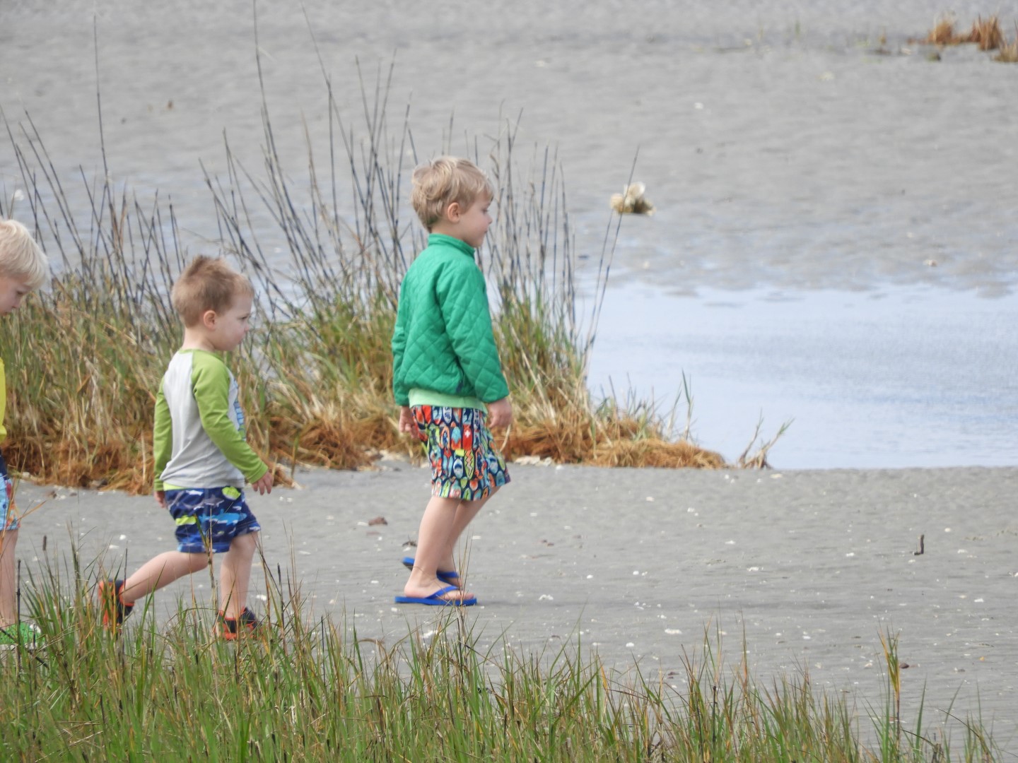 Low-tide sand bars area at Fort Sumter National Historic Site SC 16 of 37 (#6713)