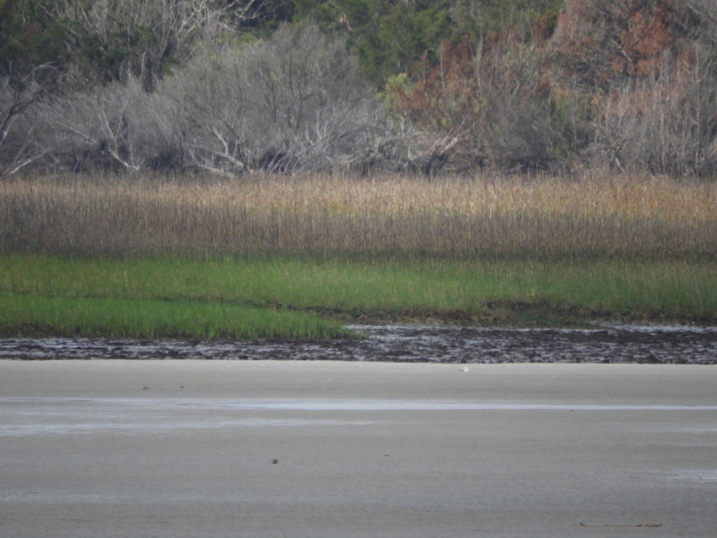 Low-tide sand bars area at Fort Sumter National Historic Site SC 23 of 37 (#6720)
