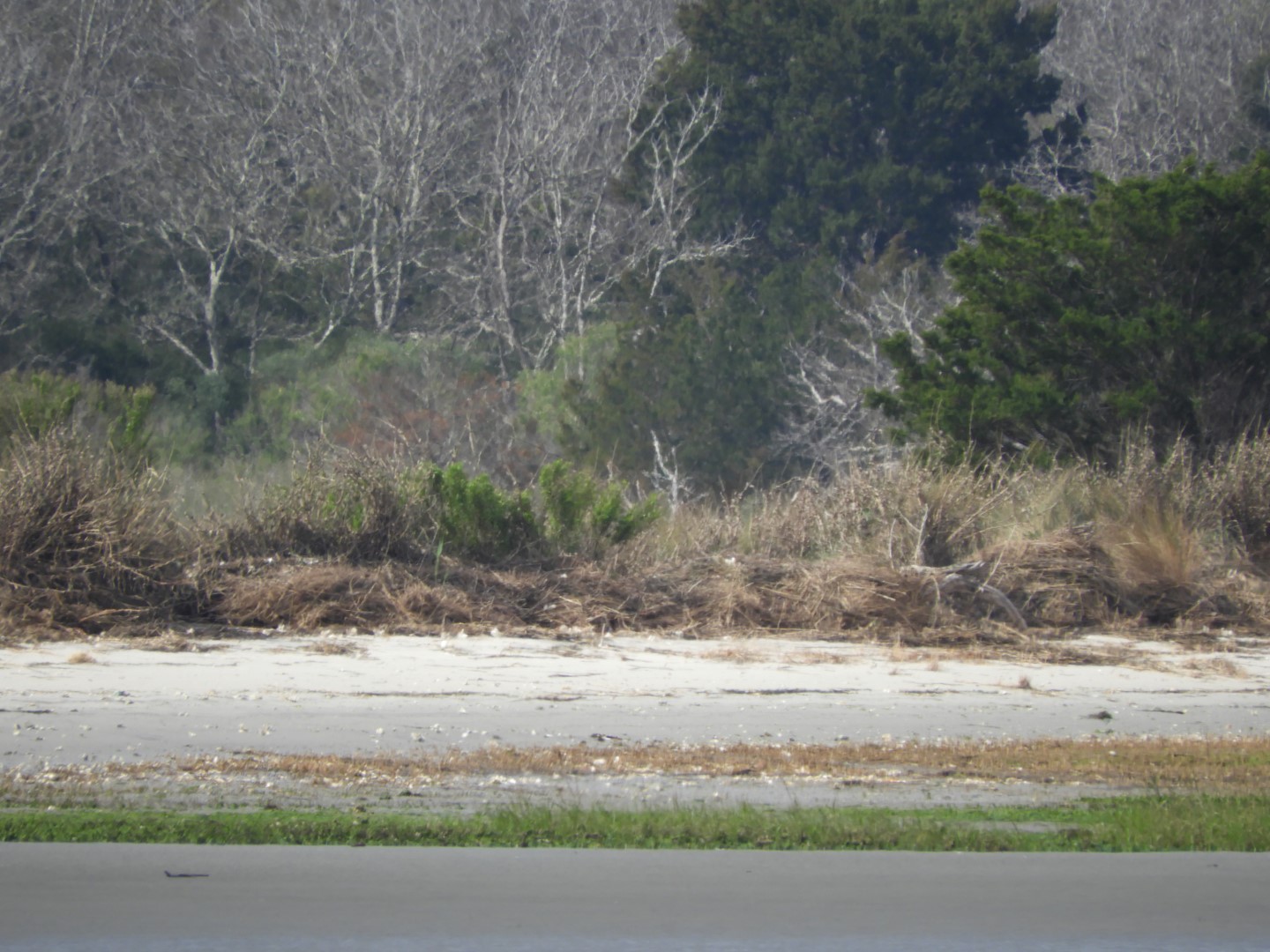Low-tide sand bars area at Fort Sumter National Historic Site SC 25 of 16 (#6722)
