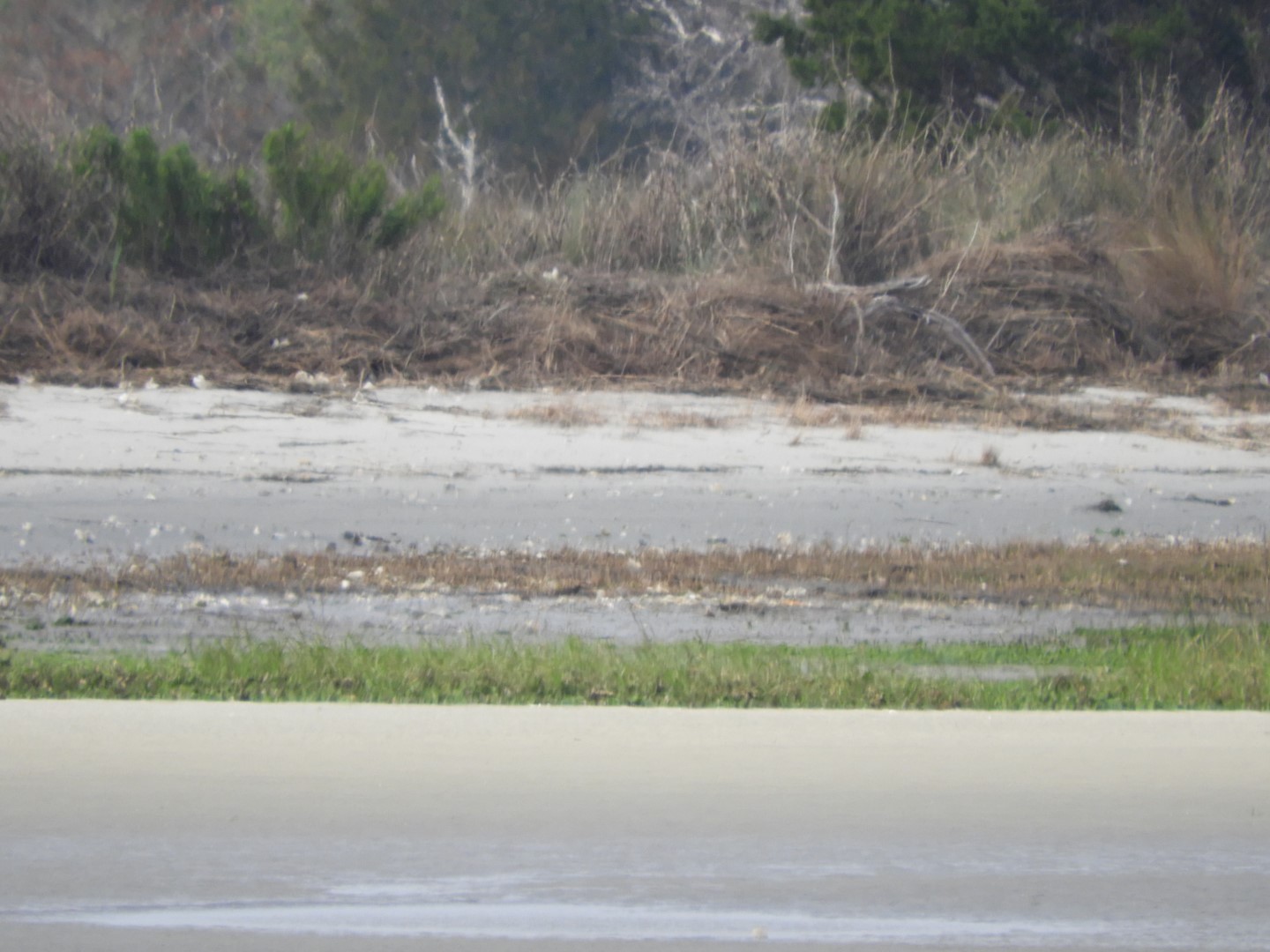 Low-tide sand bars area at Fort Sumter National Historic Site SC 26 of 16 (#6723)