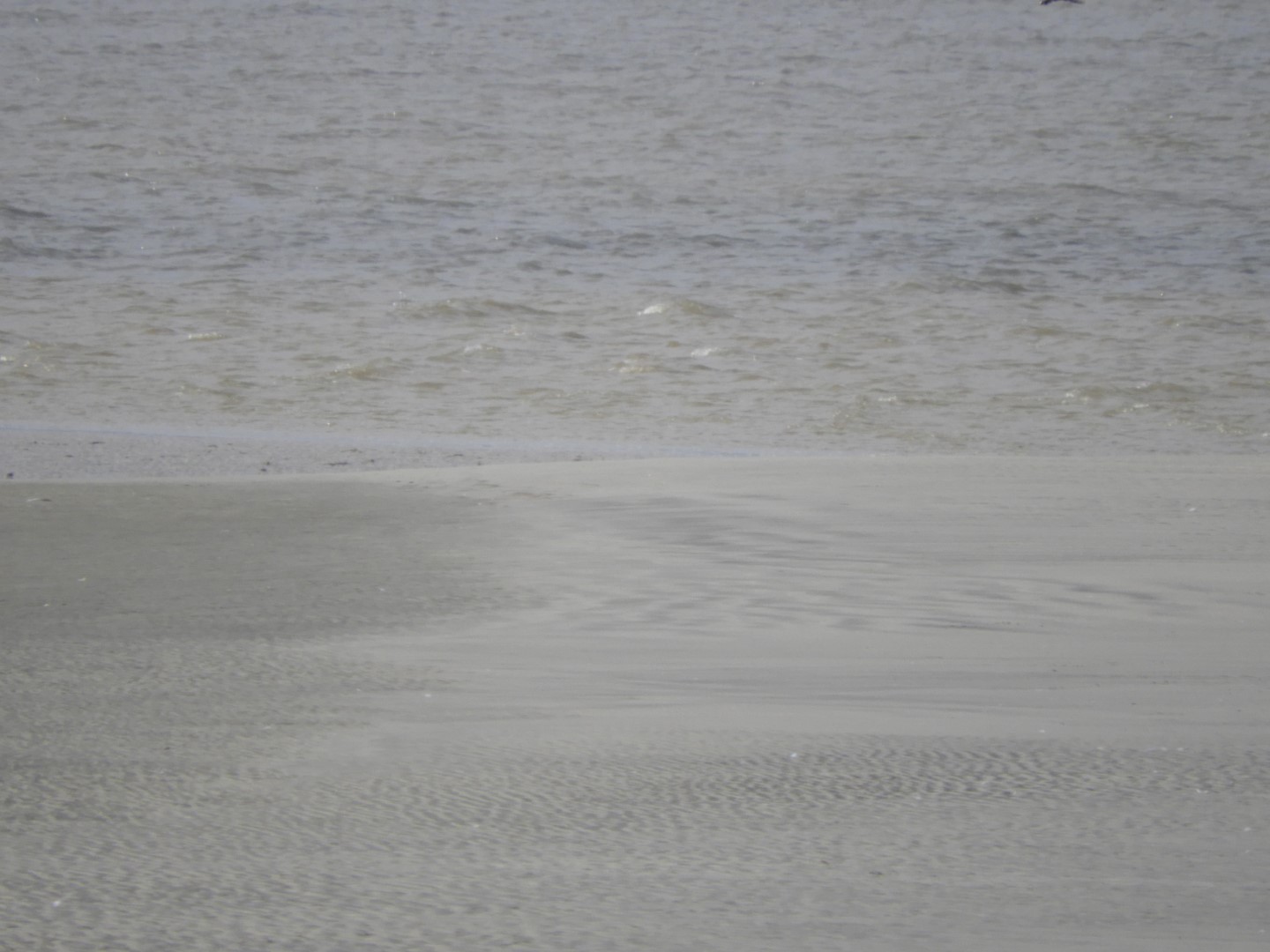 Low-tide sand bars area at Fort Sumter National Historic Site SC 31 of 37 (#6730)
