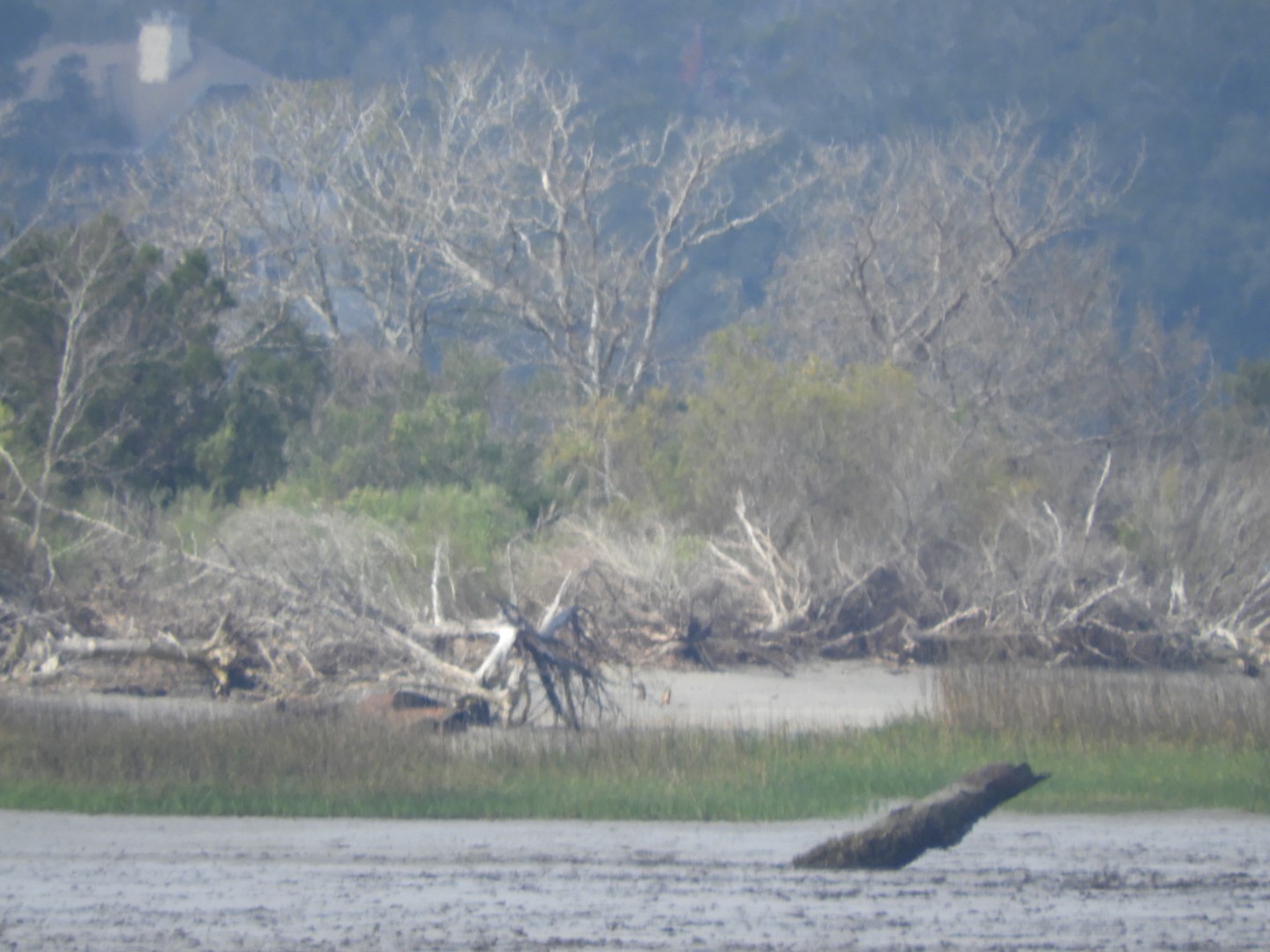 Low-tide sand bars area at Fort Sumter National Historic Site SC 32 of 37 (#6731)