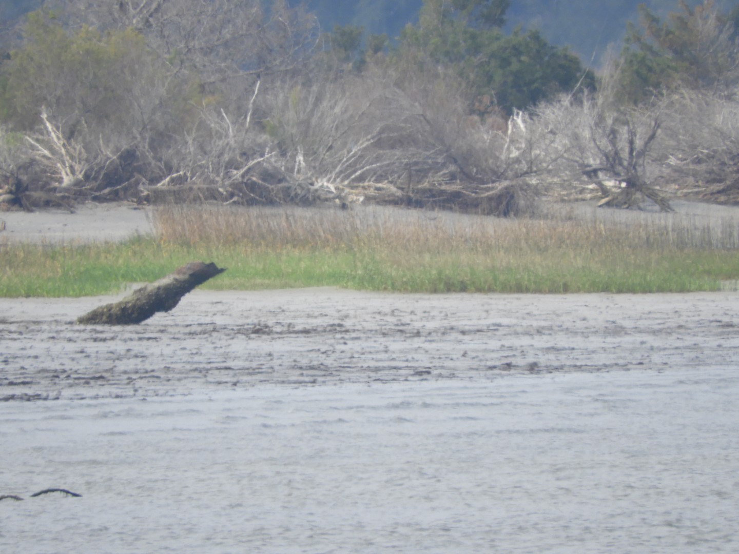 Low-tide sand bars area at Fort Sumter National Historic Site SC 33 of 37 (#6732)
