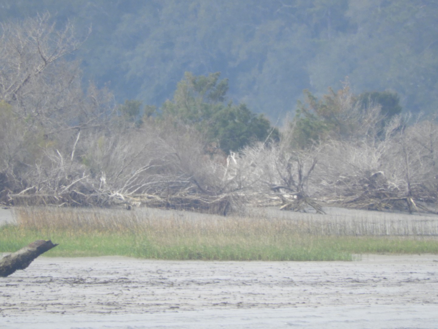 Low-tide sand bars area at Fort Sumter National Historic Site SC 34 of 37 (#6733)