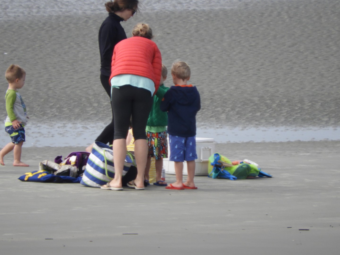Low-tide sand bars area at Fort Sumter National Historic Site SC 36 of 37 (#6735)