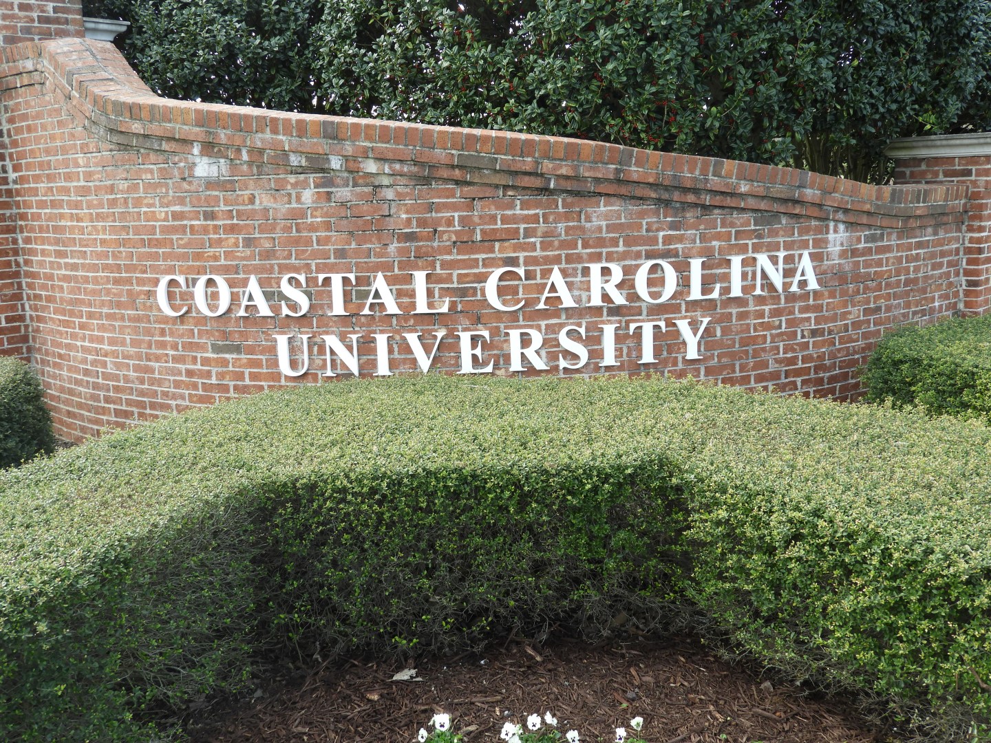 Coastal Carolina University SC 1 of  2 (#6739)