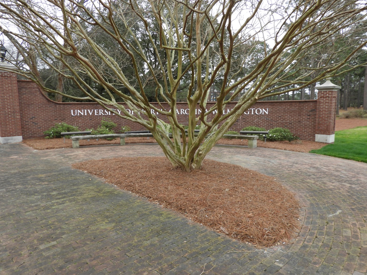 University of North Carolina-Wilmington NC  7 of 10 (#6750)